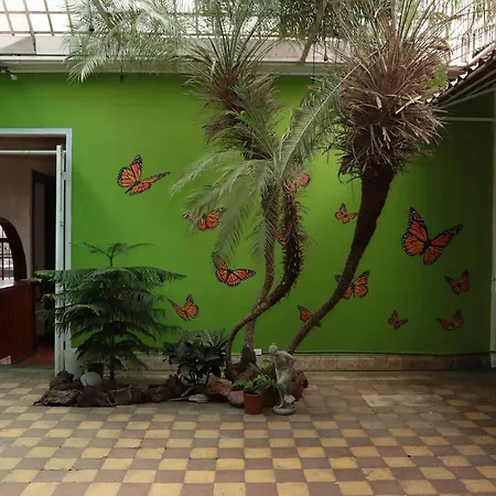 Casa Mayela Guest House-3